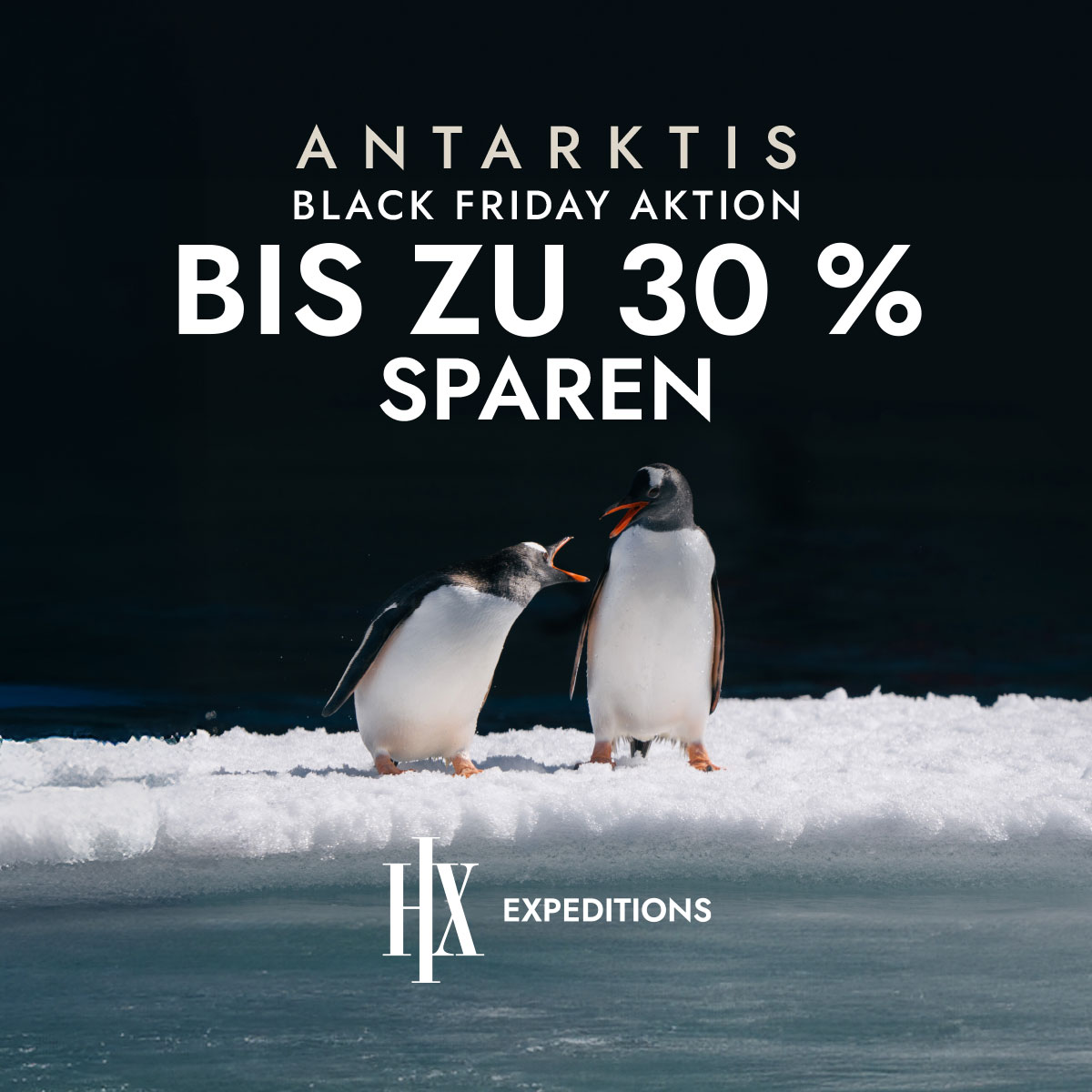 Zwei Pinguine auf Eis, darüber der Text "ANTARKTIS BLACK FRIDAY AKTION BIS ZU 30 % SPAREN". Zwei Pinguine auf Eis, darüber der Text "ANTARKTIS BLACK FRIDAY AKTION BIS ZU 30 % SPAREN".